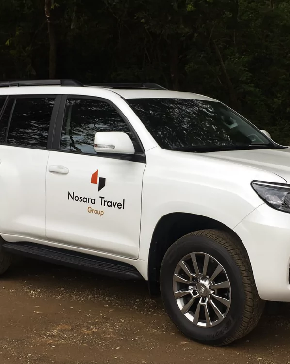 Nosara shuttle vans